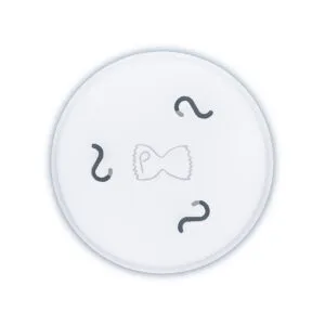 KIT56089 Pasta Funghi for Kitchenaid and Marcato Regina