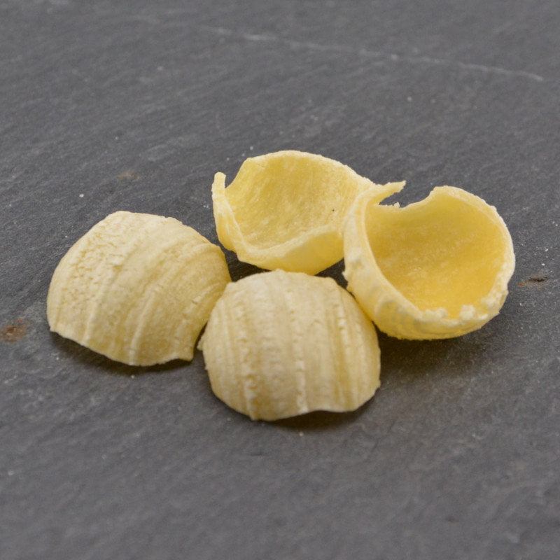 Pastidea Trafila in POM Orecchiette Piccole compatibile con Philips Pasta Maker Avance 