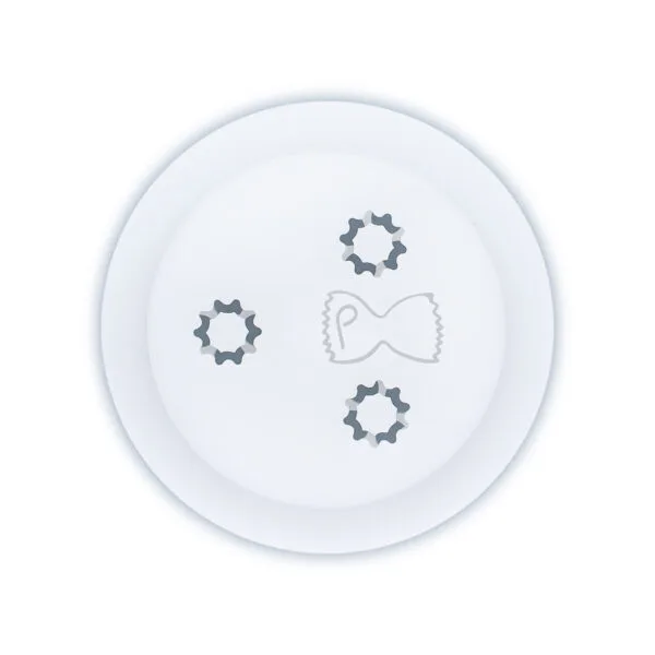HR2345207 pasta Maccherone Birigato for Philips Pasta Maker Viva Collection and Philips 5000 Series