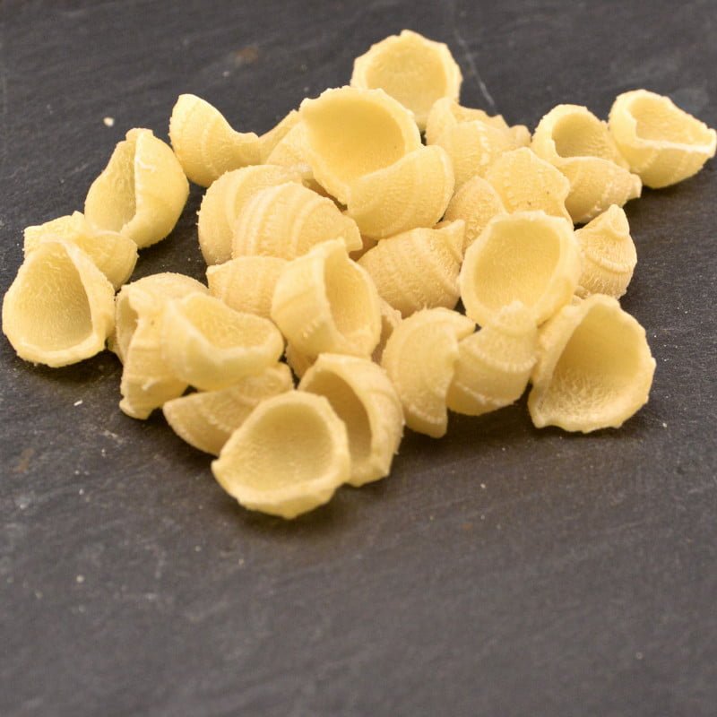 Trafila in POM Orecchiette per Philips Pasta Maker Viva » Pastidea