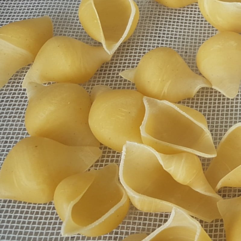 POM die Jumbo Shell Conchiglione for Philips Pasta Maker Avance and 7000  Series » Pastidea
