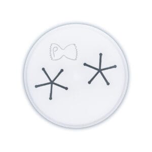 KIT56281 Pasta Friggitelli for Kitchenaid and Marcato Regina
