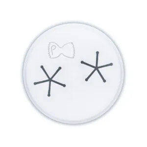 KIT56281 Pasta Friggitelli for Kitchenaid and Marcato Regina