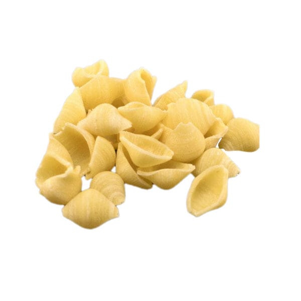Trafila in POM Conchigliette Lisce o Rigate per Philips Pasta Maker Avance e Serie 7000 - immagine 3