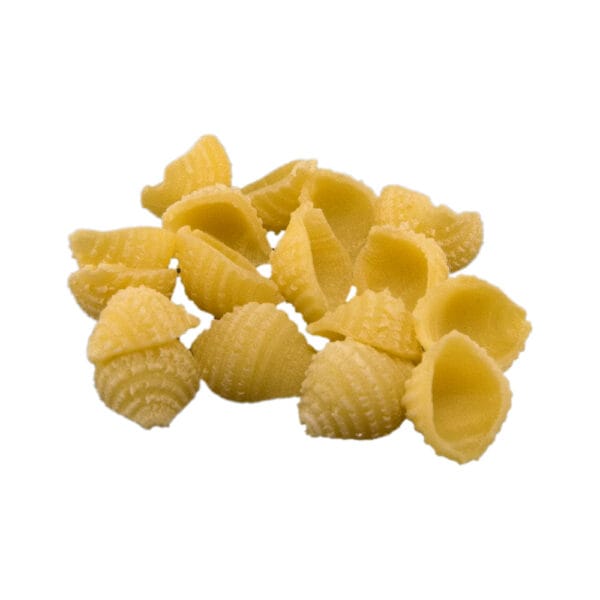 Trafila in POM Conchigliette Lisce o Rigate per Philips Pasta Maker Avance e Serie 7000 - immagine 2
