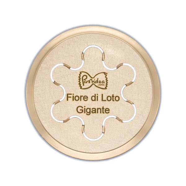 FAT56-347S Die for Fiore di Loto Gigante bronze screen is compatible with the Pastidea Pasta Machine, La Fattorina, Fimar MPF1.5, Arcobaleno AEX-10 or GGMGastro NMF5. No adapter is needed.