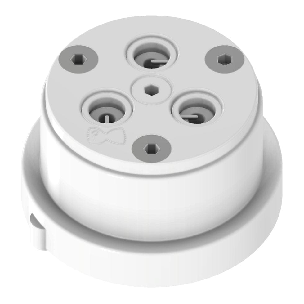 Pastidea Nudelmatrize - Scialatiello Form Für Philips Pastamaker Avance/7000