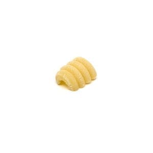 Trafila in bronzo assemblata Riccioli 4 compatibile con Avancini TR70, Sela TR70 e La Pastaia TR70