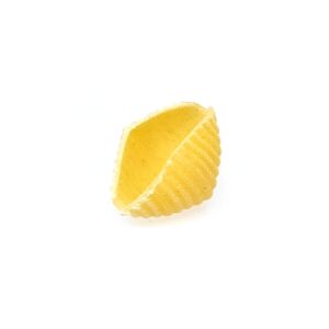 Trafila in bronzo assemblata Conchiglia Rigata compatibile con Avancini TR70, Sela TR70 e La Pastaia TR70