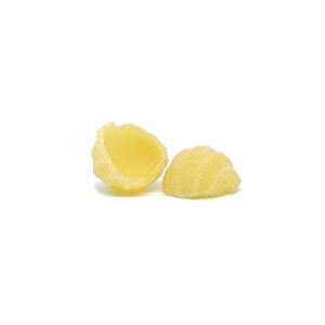 Trafila in bronzo assemblata Orecchiette Rigate 15mm compatibile con Avancini TR70, Sela TR70 e La Pastaia TR70
