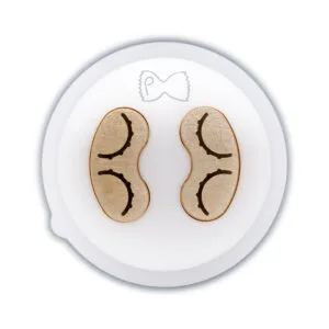 Trafila per Orecchiette Rigate 15mm in bronzo e POM compatibile con Philips Pasta Maker Avance e Serie 7000