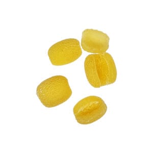 Trafila in bronzo assemblata Pisarei compatibile con Avancini TR70, Sela TR70 e La Pastaia TR70
