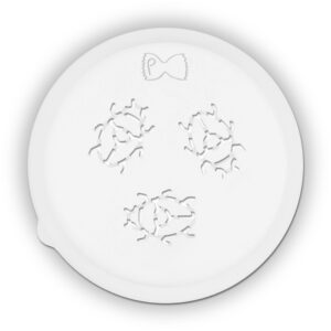 beetle pasta die