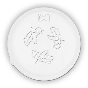 Cricket pasta die